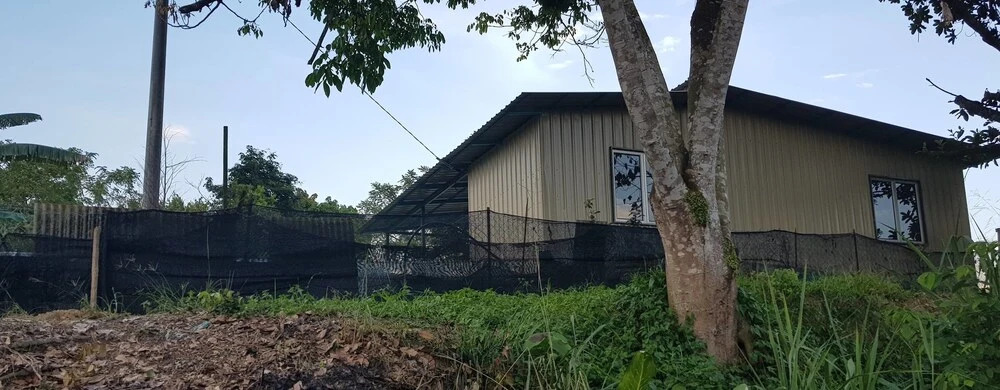 Riverside Lodge Desa Putra