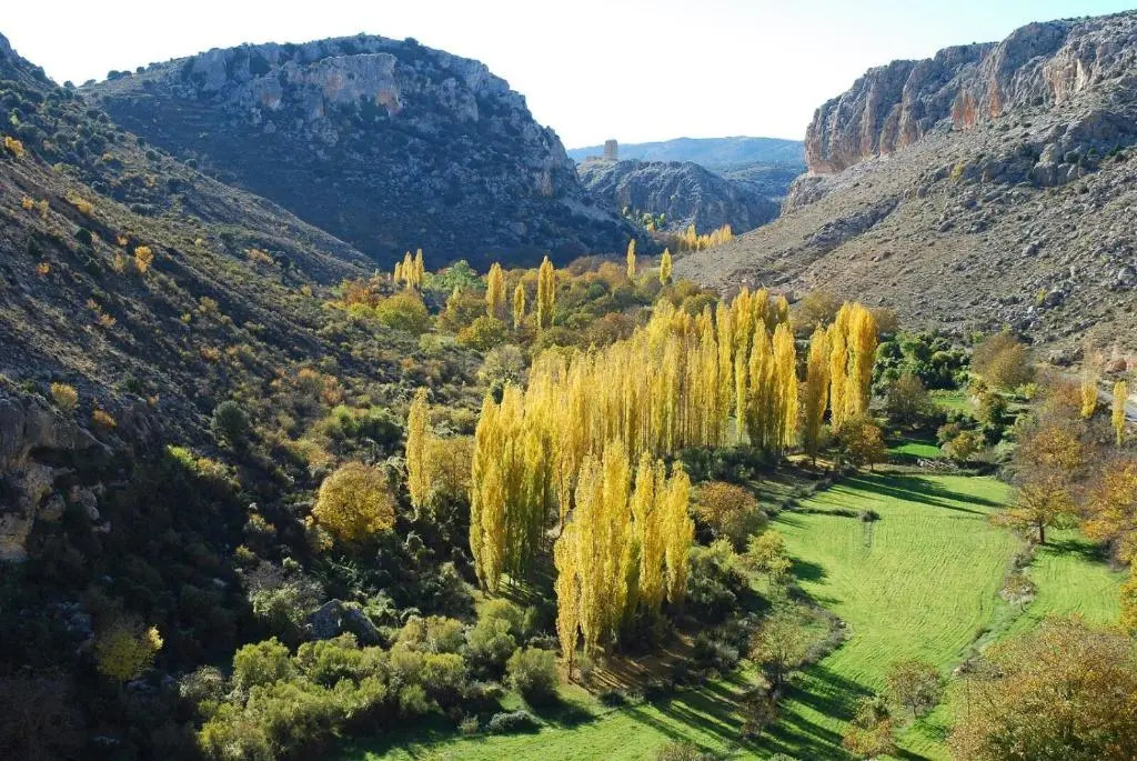 Cortijo Ramon Petra