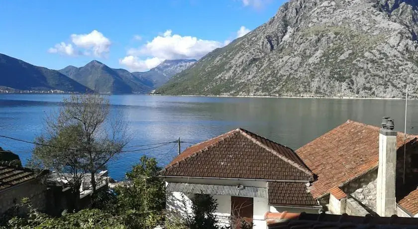 Guesthouse Živković