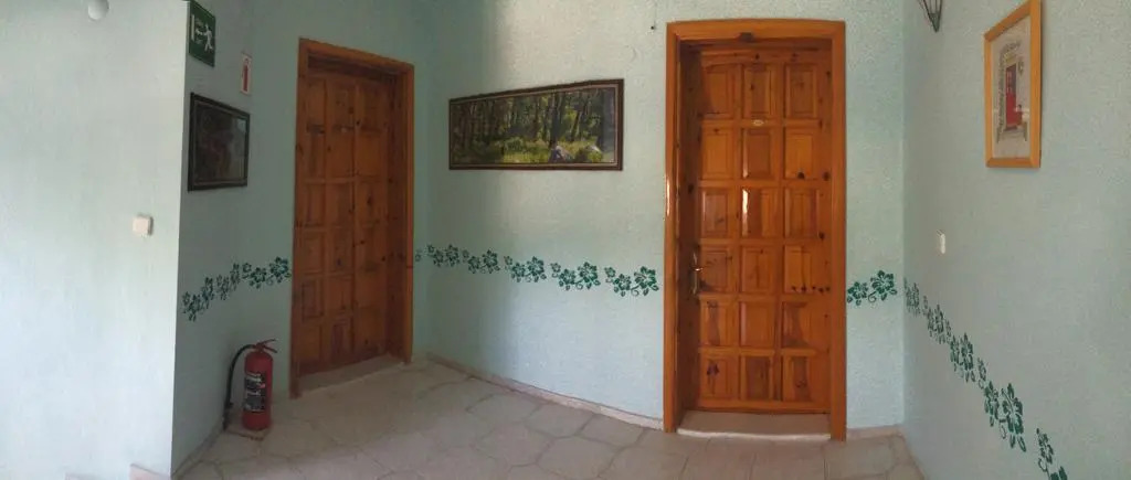 Miço