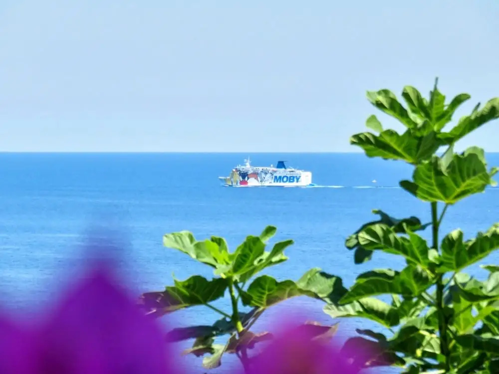 House With 2 Bedrooms in Ville-di-pietrabugno, With Wonderful sea View