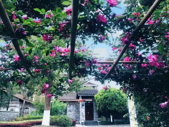 Xinjin Celebrity City Hotel