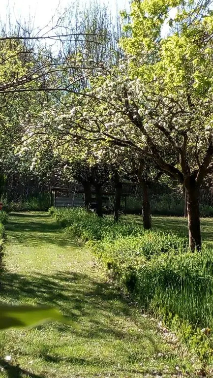 Au jardin de Grand-Père