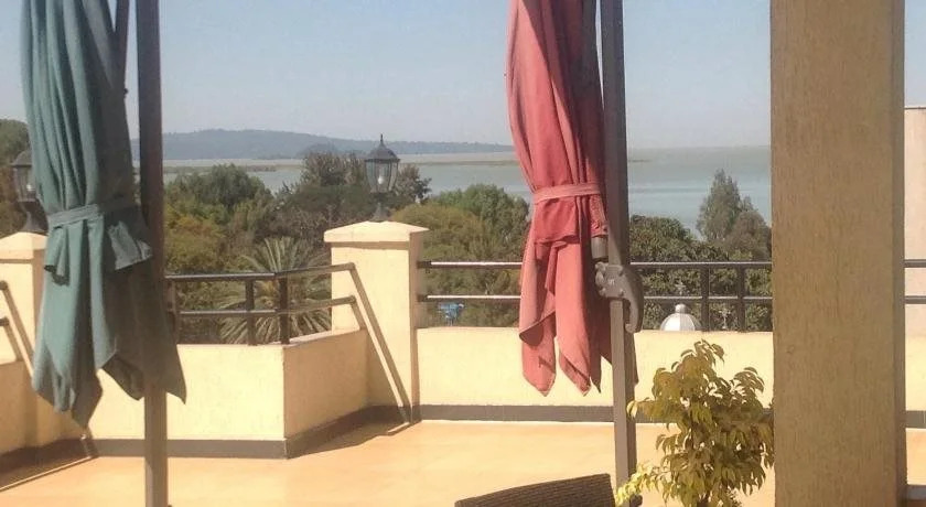PALM PALACE Best BUDGET HOTEL & TOUR Options s