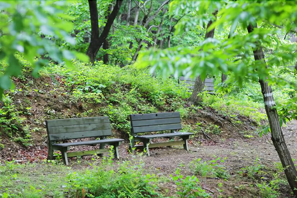 Yeongwol Nice View Pension