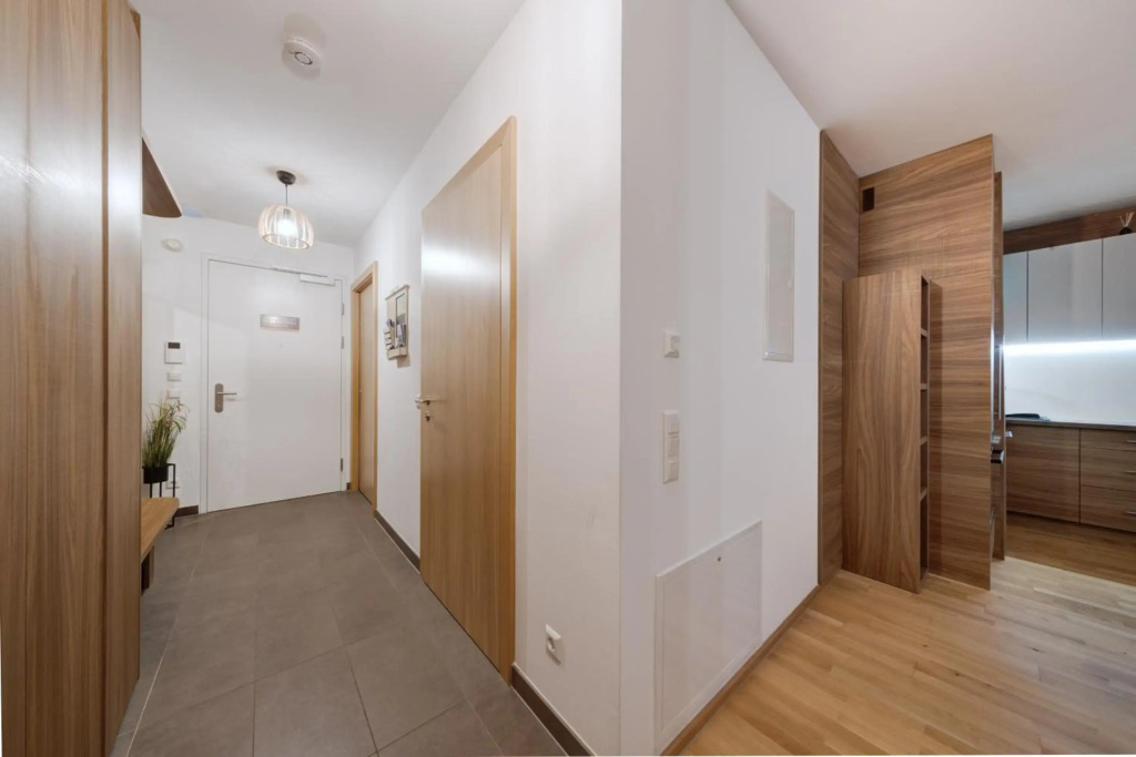 Apartment SCHLADMING - Planai view