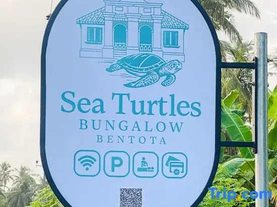 Sea Turtles Boutique Bungalow