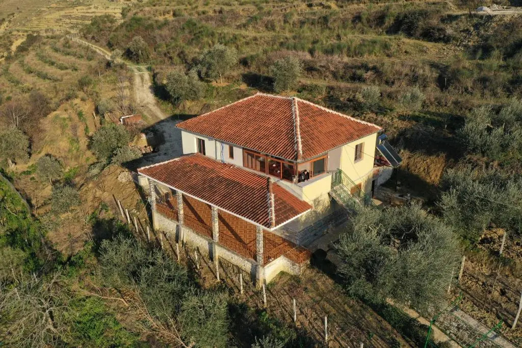 Guest House Pashollari