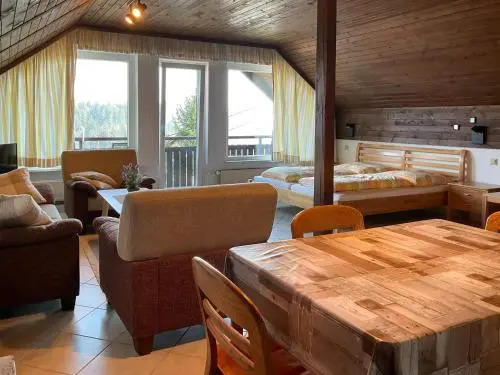 Apartments Franc