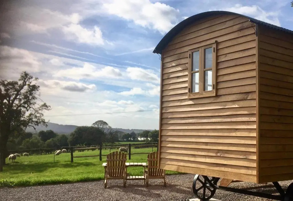 Shepherd’s Hut - The Mule