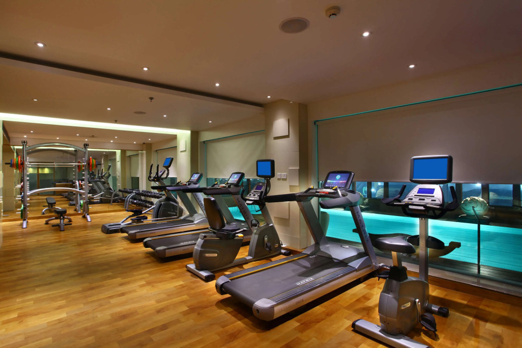 Park Plaza Delhi CBD Shahdara