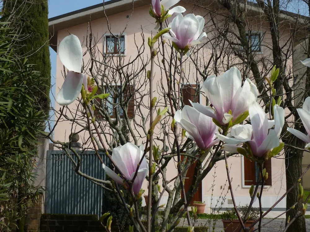 Appartamenti Il Giardino Alberato