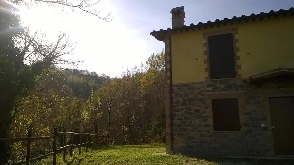 Il Gelso Rosso