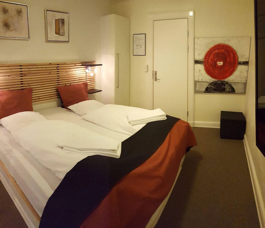 Hotel Domir Odense