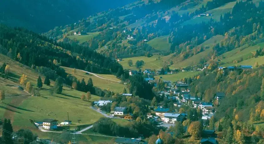 Ferienhaus Paulina