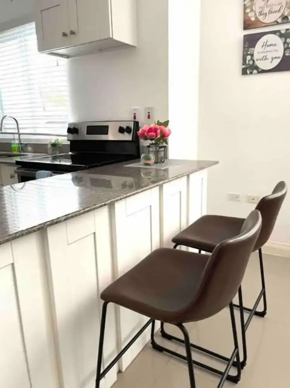 Modern 1BR Condo in Kingston