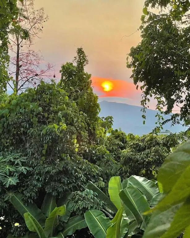 Babinda Quarters
