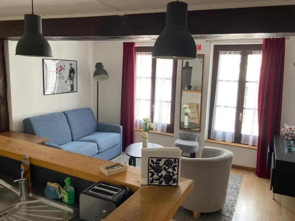 T3 duplex hyper centre ville historique troyes