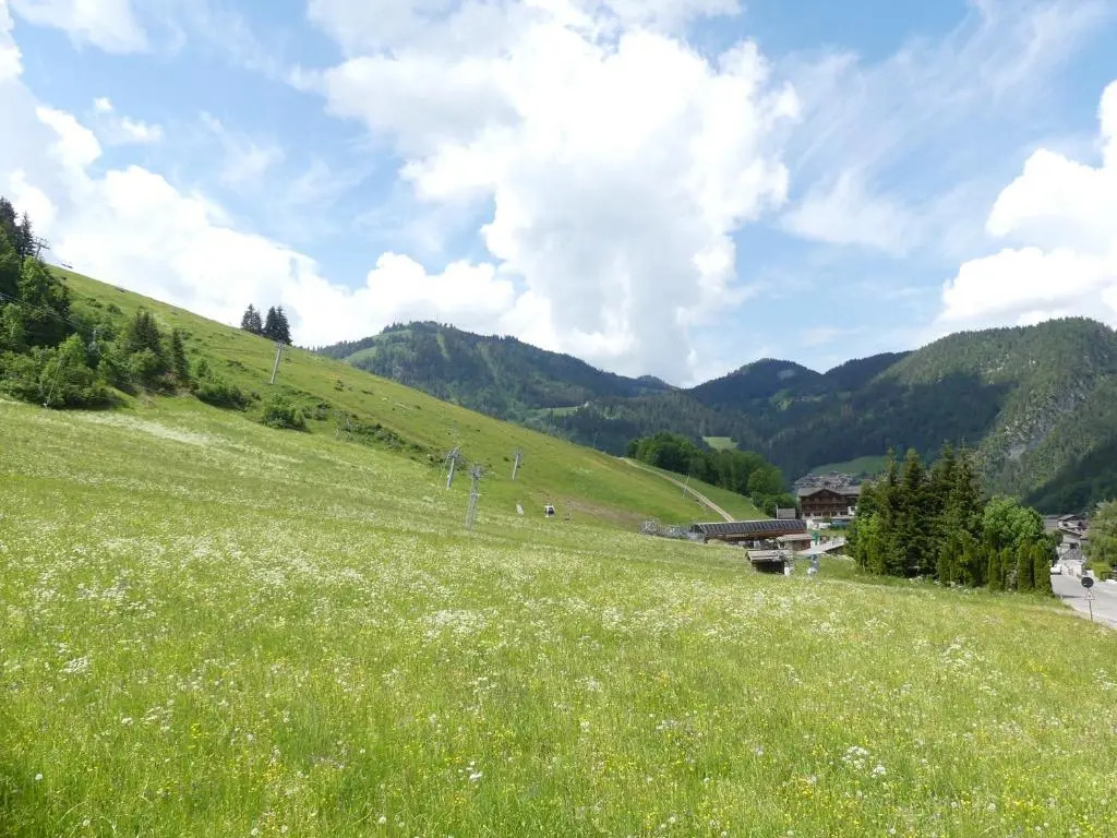 Ty Menez 2 - Chalet sur les pistes