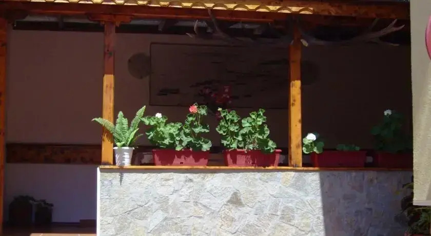 Andonov Guest House