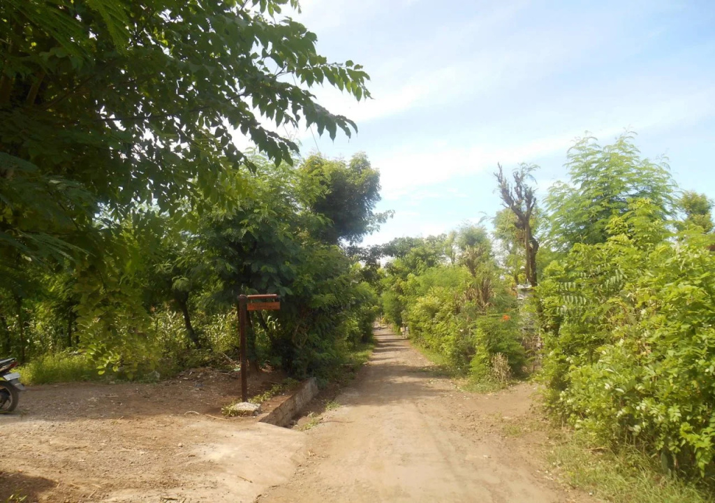The Local Menjangan