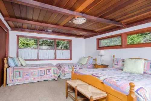 Mendocino Dream