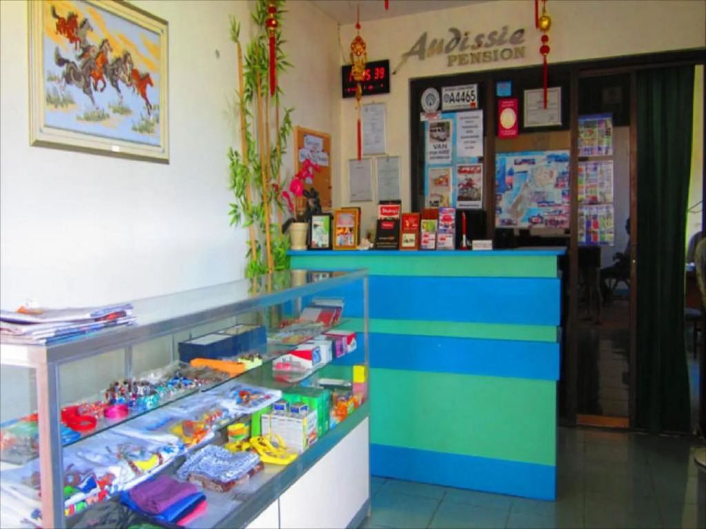 OYO 611 Audissie Pension