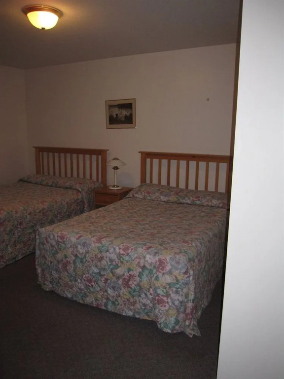 Log Cabin Motel