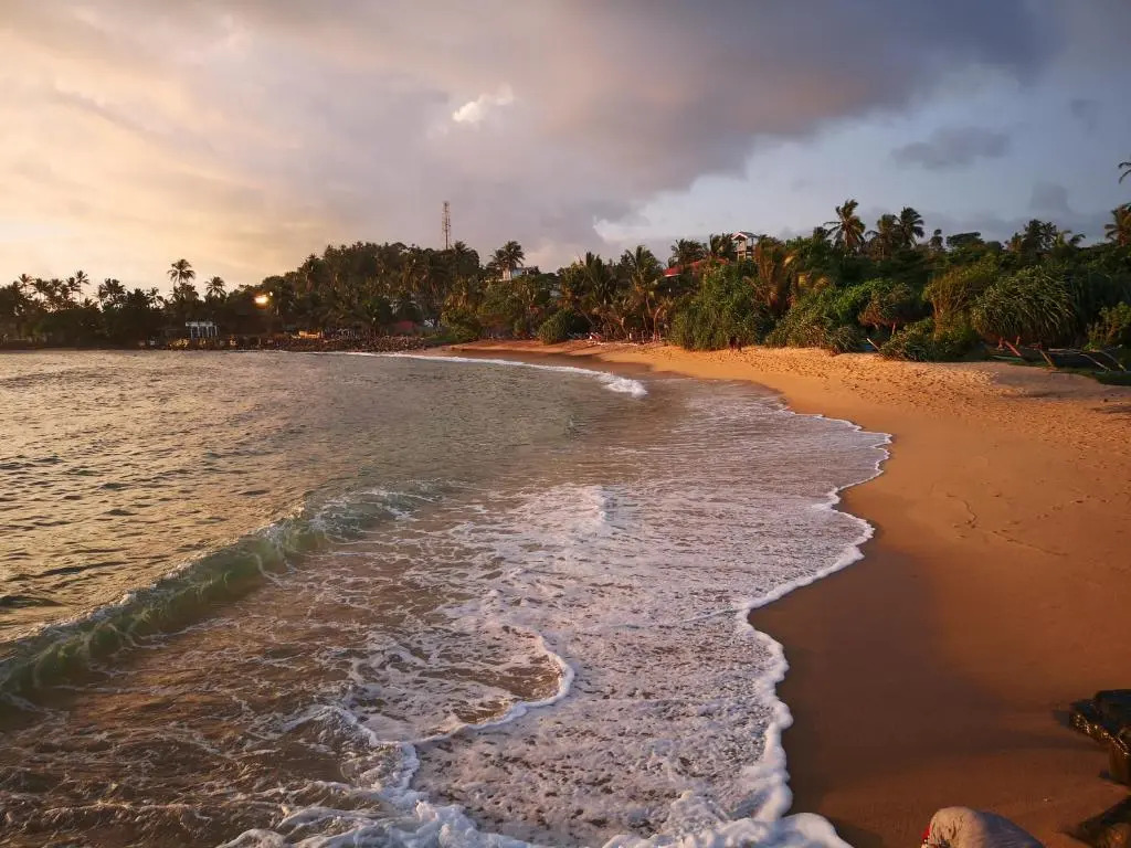 Turtle Bay Beach Resort