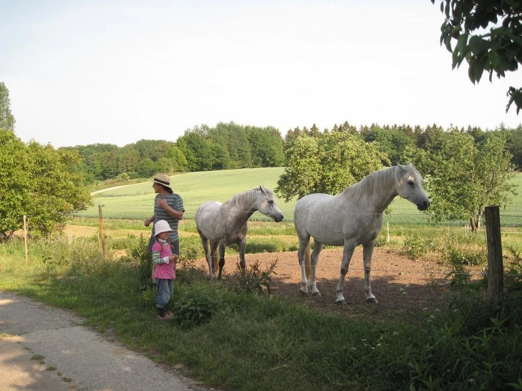 Hof Rodenkrog