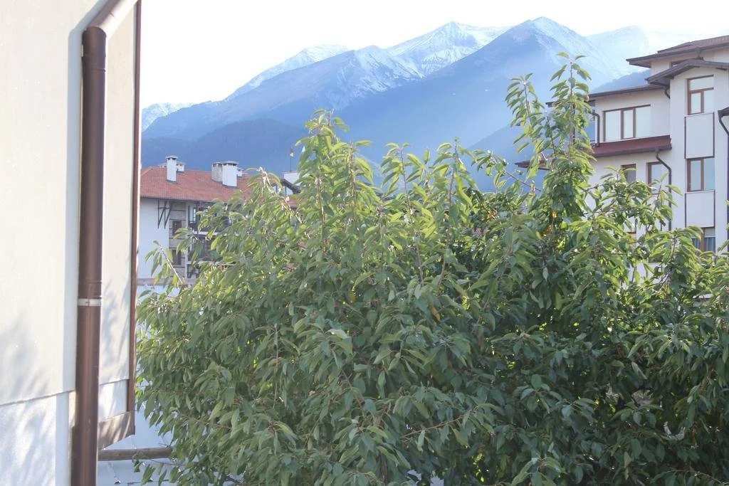 Strakova House