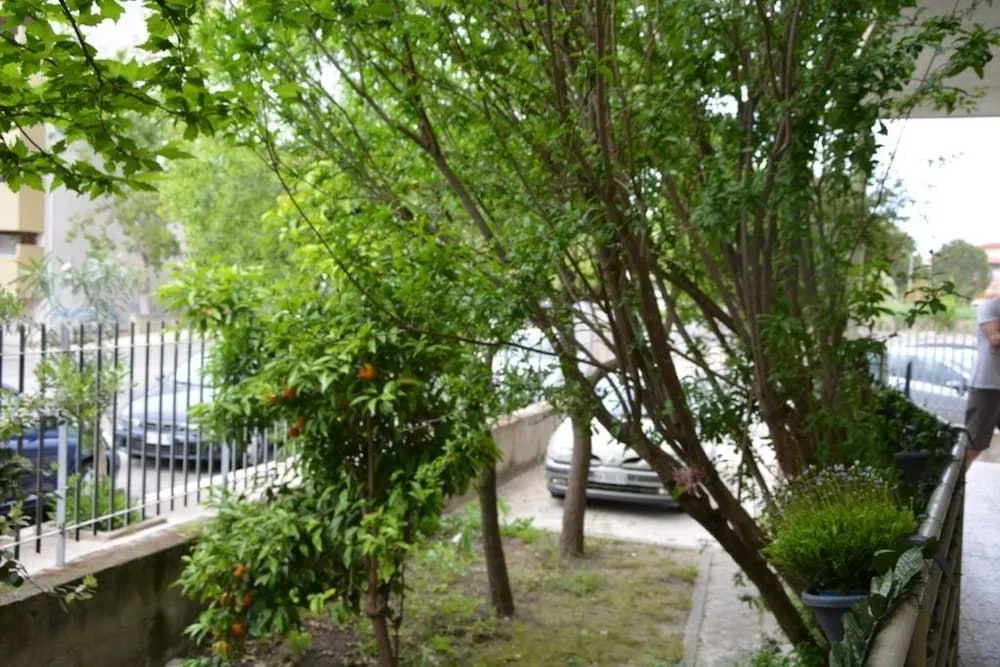 La Rosa Bed & Breakfast