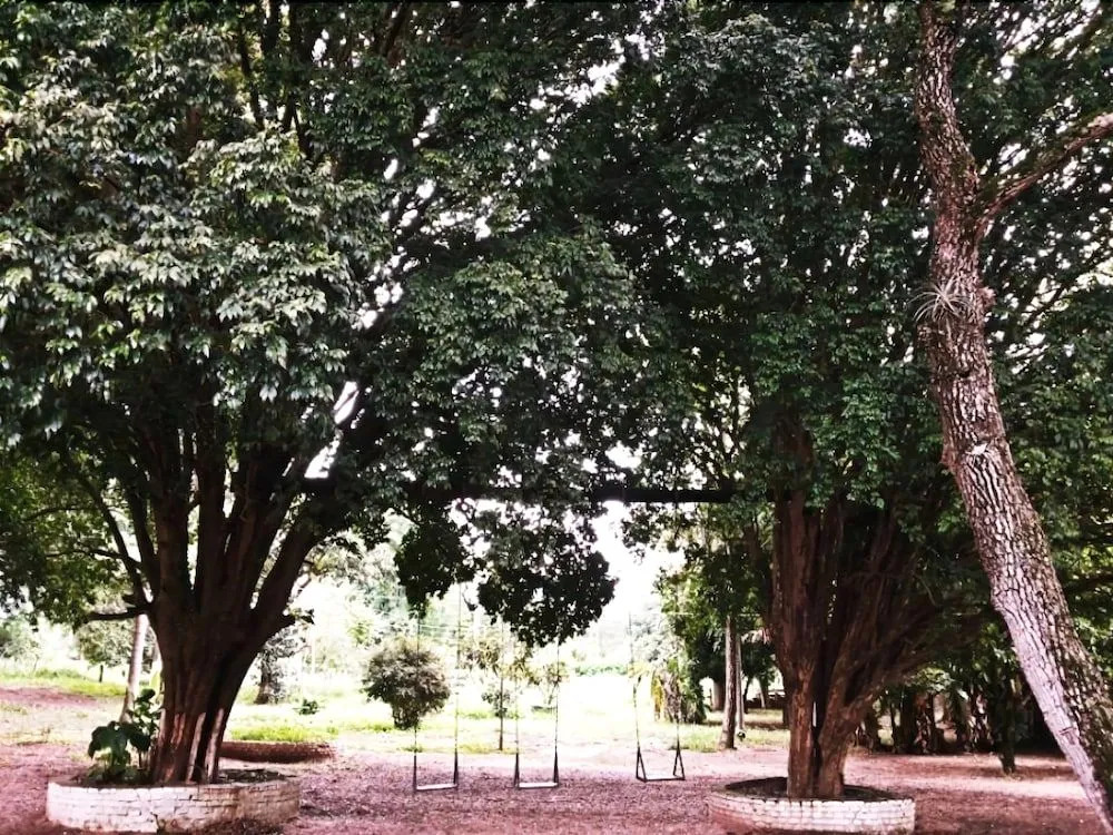 Pousada Samambaia