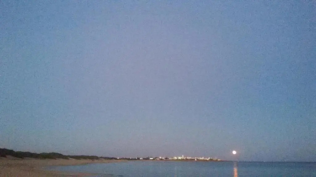Stellasalentina