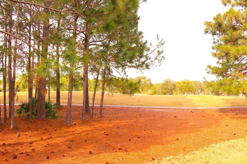 1337 Laurel Grove 3 Bedroom Home by RedAwning
