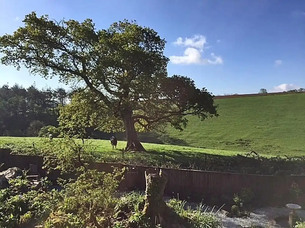 Stocks Barn