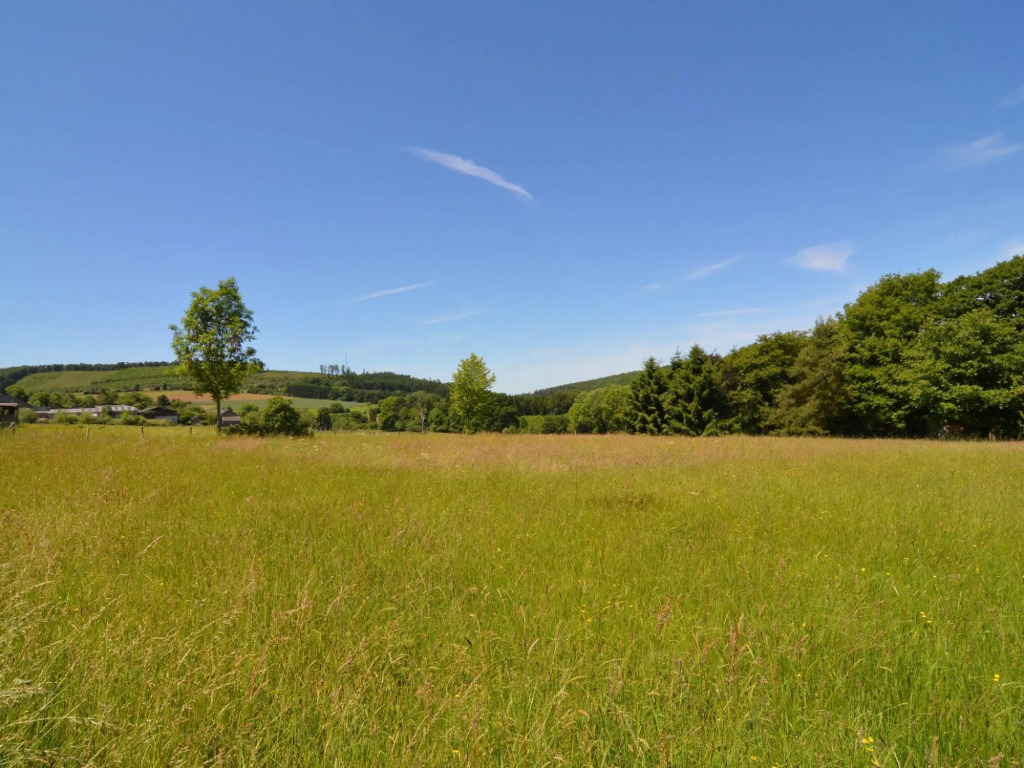 Pleasant Fermette with Outdoor Swimming Pool near Durbuy