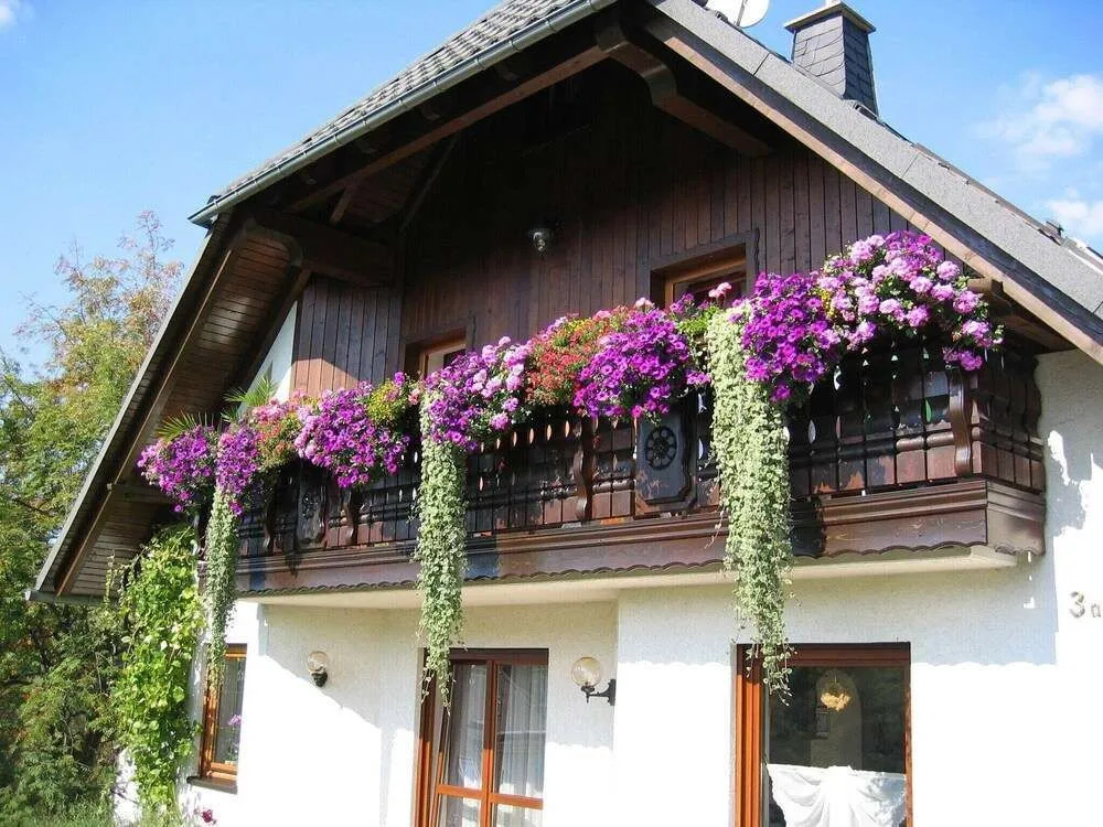 Beautiful Apartment in Pohla Saxony near Ski Area