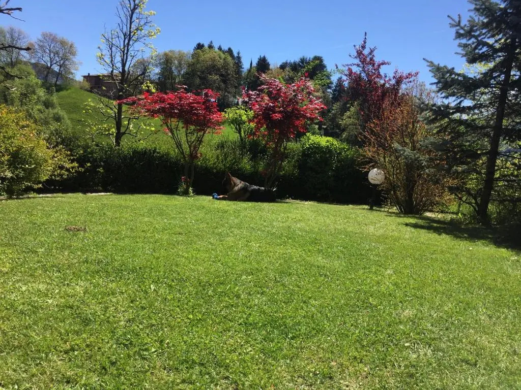 Meraviglie Lodge
