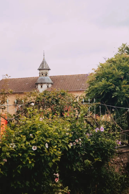 Le Lys Ecossais