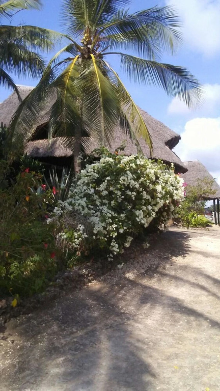 Villa With 3 Bedrooms in Diani Beach, With Private Pool, Furnished Ter