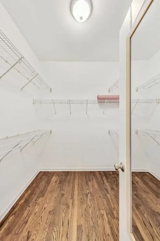 South Loop Three Bedroom Two Bath Home