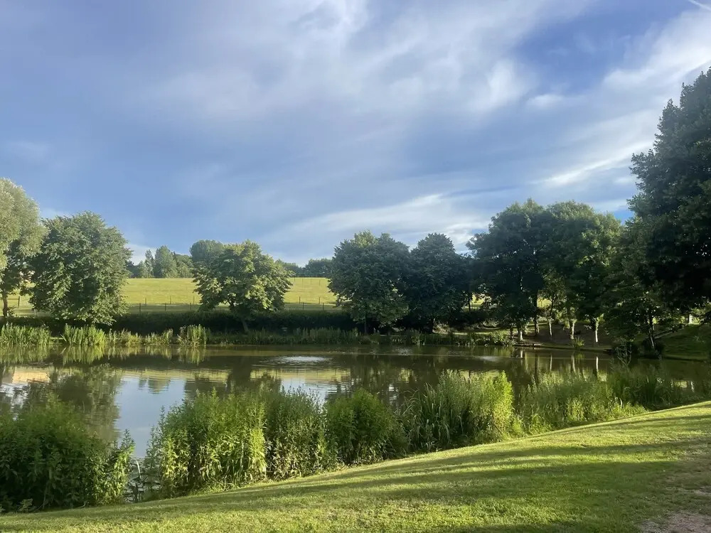 South View Lodges