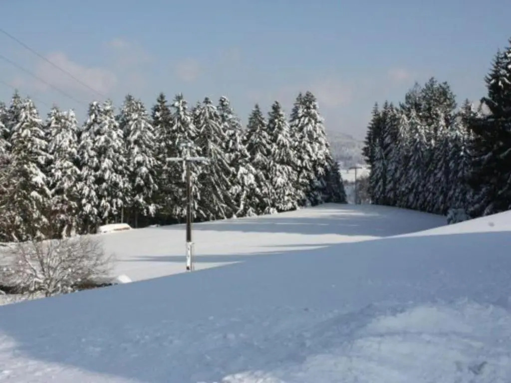 Gîte neuf au calme près de Gérardmer avec terrasse et balades en forêt - FR-1-589-217