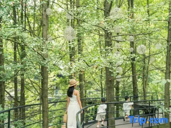 Qingcheng Mount SuXi Qingshan Forest Hotel