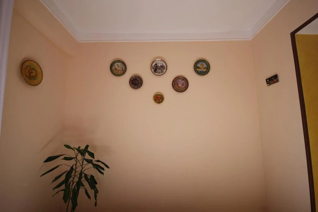 Center Hostel and Tours