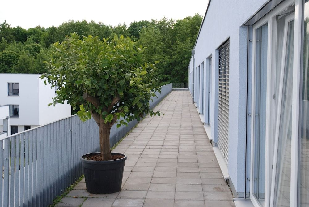Zar-Hotel Vitalis