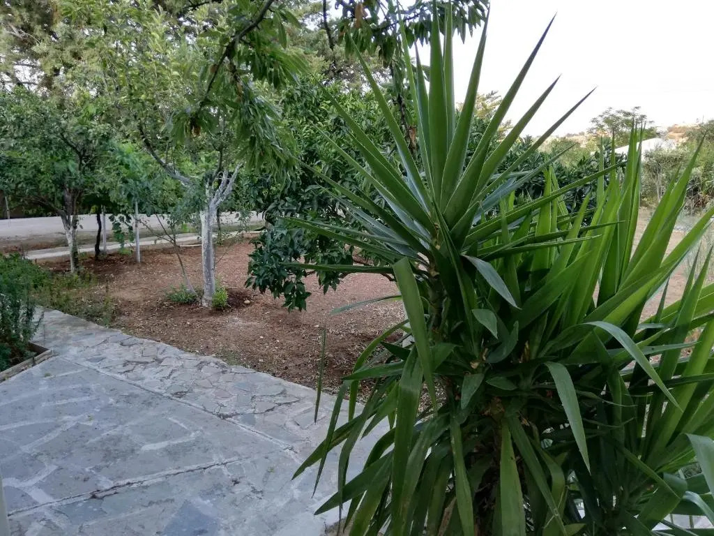 Dreamhome -10min from airport-