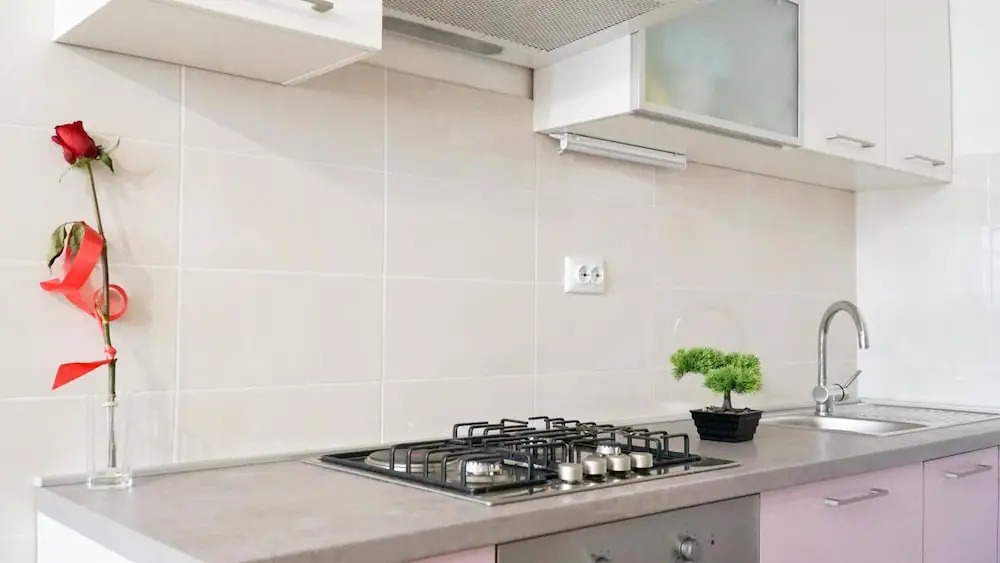 Apartment Anica
