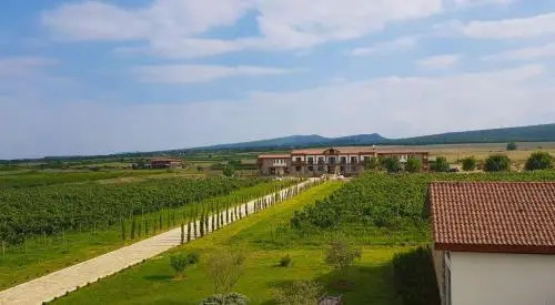 Resort 4 Stars Telavi